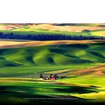 Monitor LG UHD (4K) 3840 X 2160 Blanco - Imagen 3