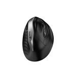 Mouse GENIUS Ergo silver 8250