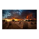 Monitor Industrial SAMSUNG 55 Pulgadas Ultraestrecho