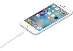 Cable de conector Lightning a USB (1 m) - Imagen 2